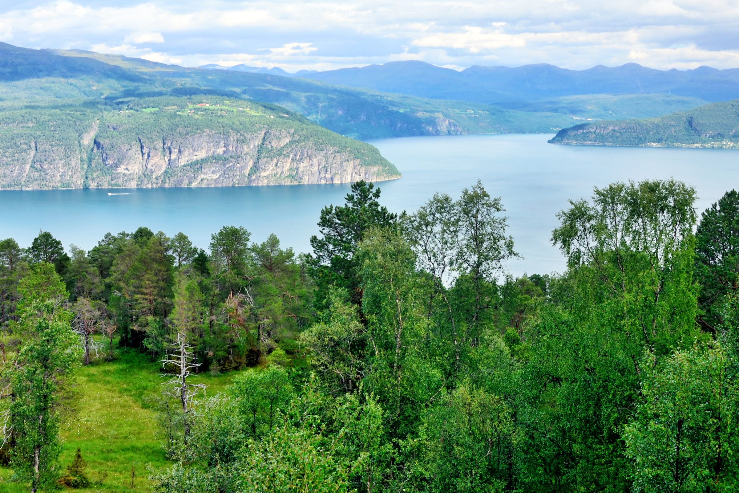 199 nordfjord.webp